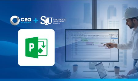 MS Project - Proyectos de Ingeniería