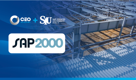 SAP2000